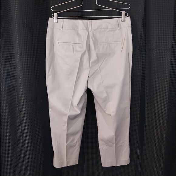 ANN TAYLOR FACTORY! PALEST GRAY CROPPED, RELAXED NOTCHED ANKLE PANTS! SZ 10P - Picture 7 of 10